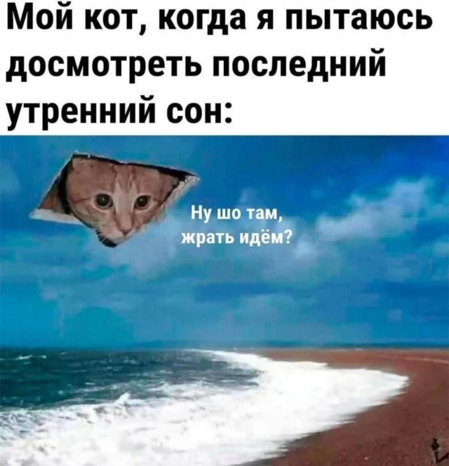 Маленькая пятница 23.07