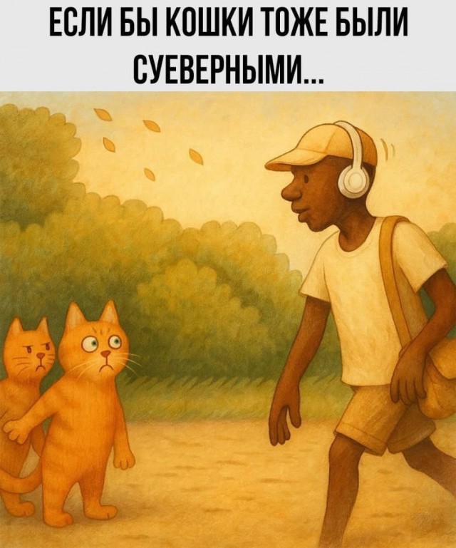 Картинки для деградации 20 (разной степени свежести)