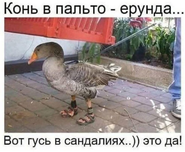 Маленькая пятница 15.10