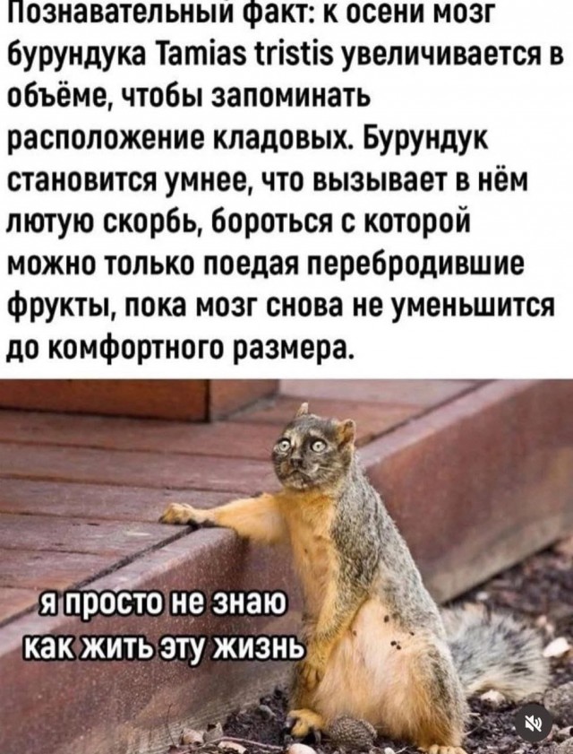 Немного картинок разной степени новизны и адекватности