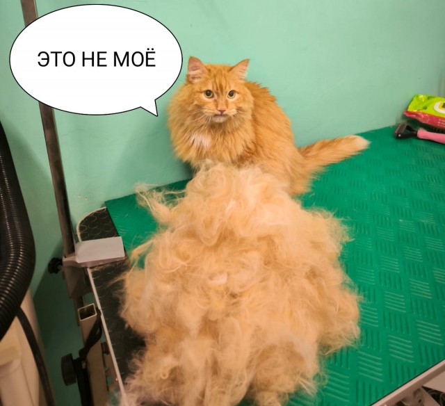 Нелегальный завод