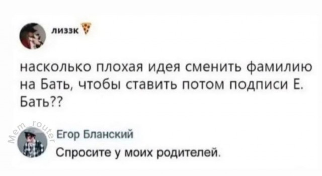 Мой кот - дизайнер интерьеров.