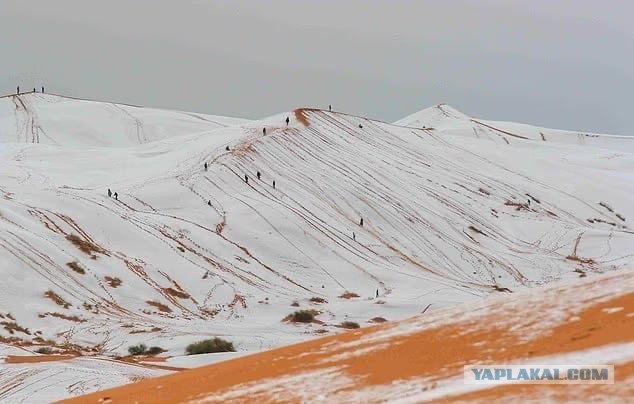 Пустыню Сахара засыпало снегом