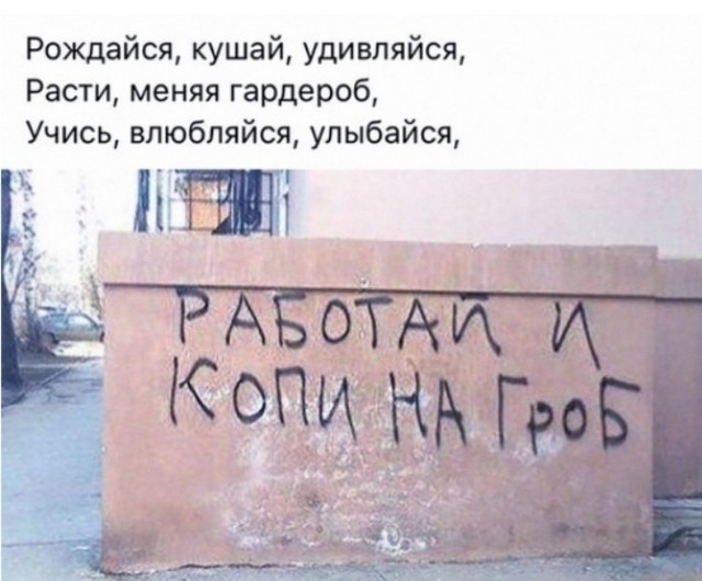 Картинки для деградации 226 (разной степени свежести)