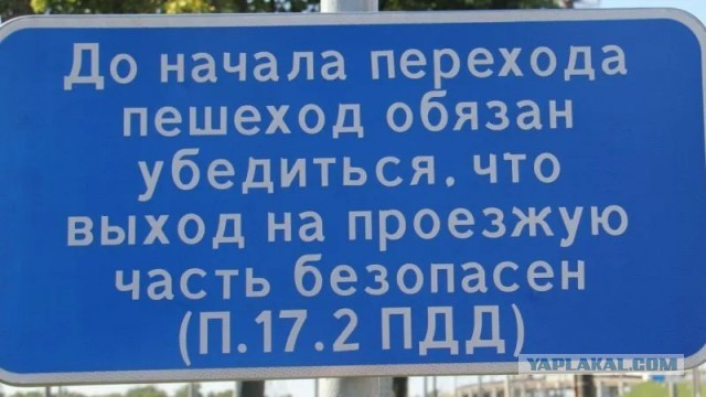 Яркий пример, когда пешеходам пох#й на своё здоровье и жизнь