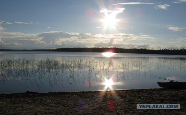 Карелия. р Охта