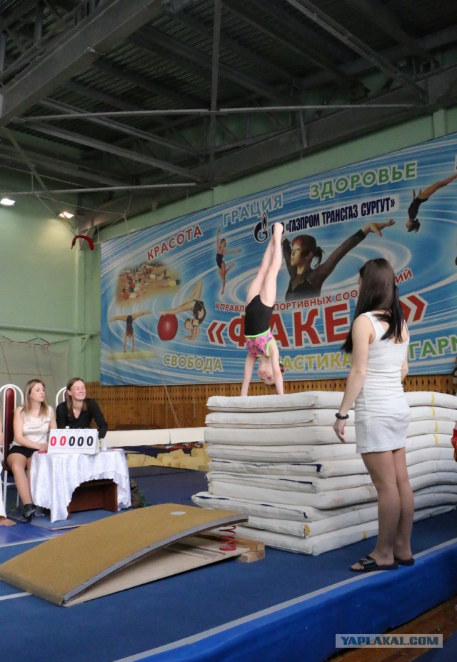 Спортивная гимнастика