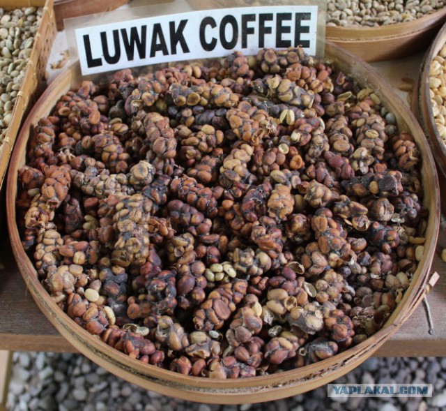 А знаете ли вы, что?..