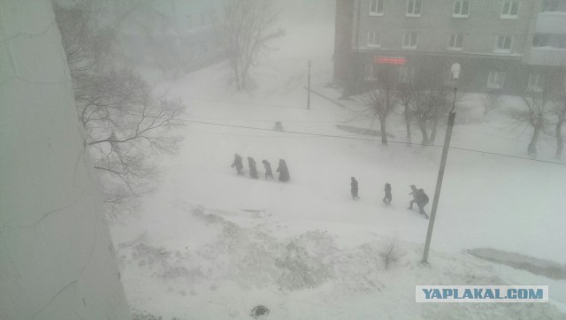 А тем временем в Хабаровске