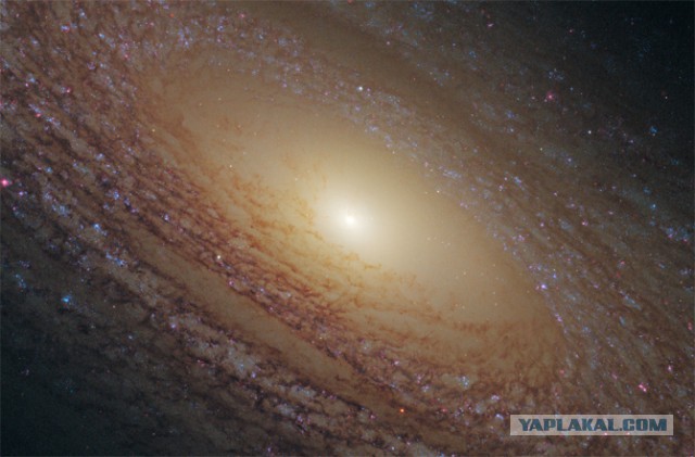 Хаббл постоянно обнаруживает галактики