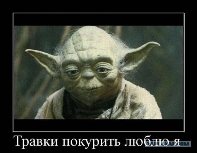 Анатомия Бога