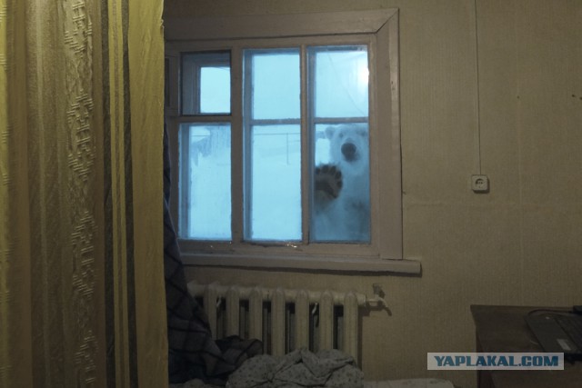 После всего, что между нами было я просто обязана