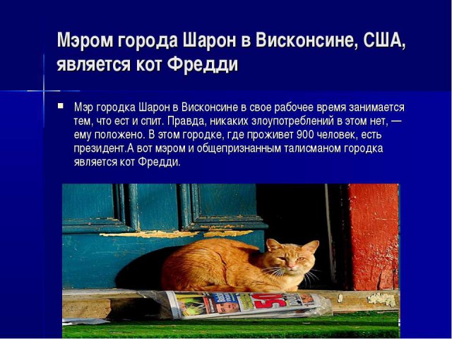 правительство Медведева в отставку