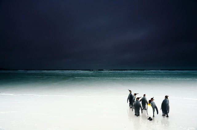 Подборка интересных и веселых картинок