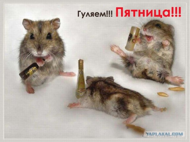 Метеорит в Челябинске, взрыв, самолет, ракета, НЛО или что?