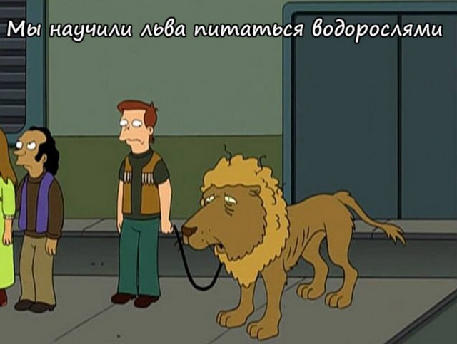 Шах и мат, веганы! Действительно ли нужно перестать есть мясо? 10 опровергнутых законов вегетарианства