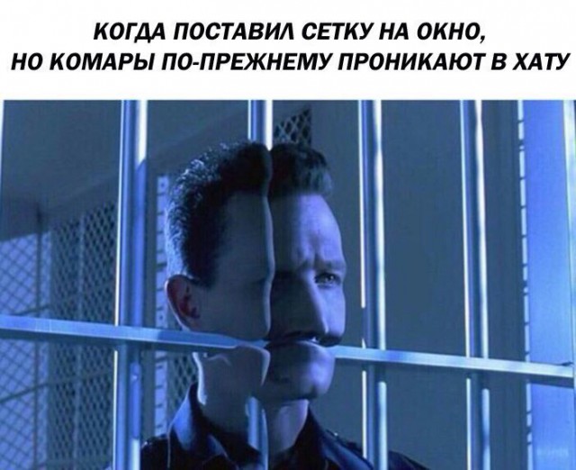 Настало время интересных картинок!