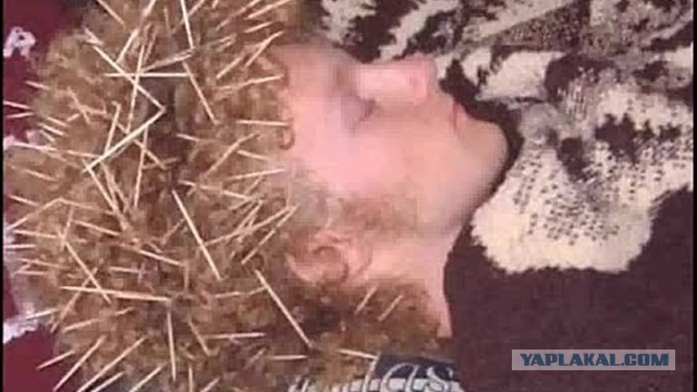 Вопрос-ответ