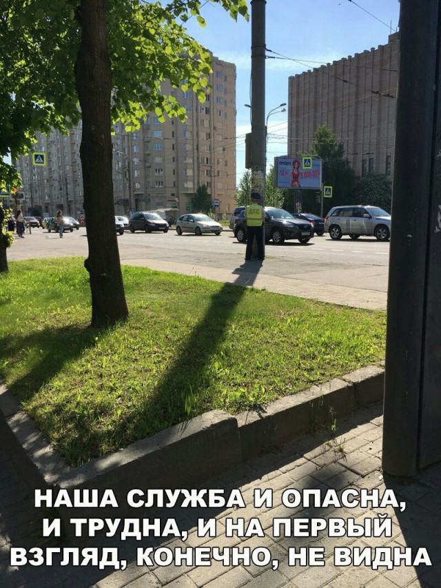 184 картинки для поднятия настроения!