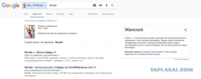 Мужики козлы или бабы дуры, где эта золотая середина......