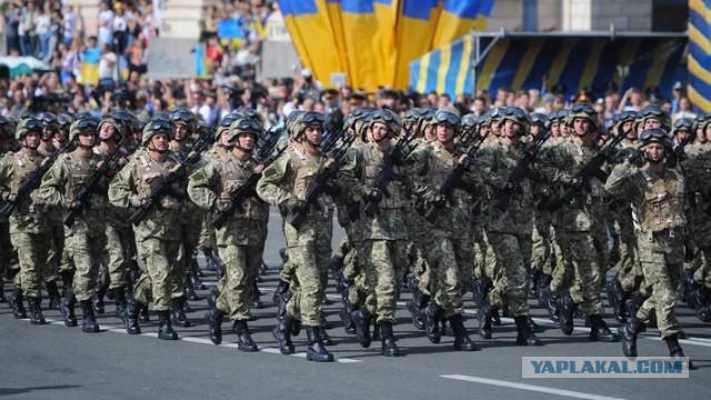 "Прямо до слез": семья из Крыма тронула украинцев рассказом о жизни в оккупации