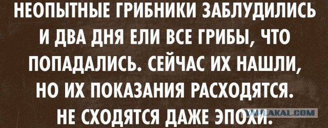255 штук. Сегодня. Один человек. 2 часа.