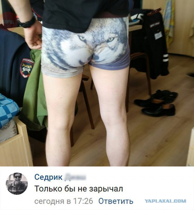 Забавные комментарии, шутки и фразы из этих ваших интернетов