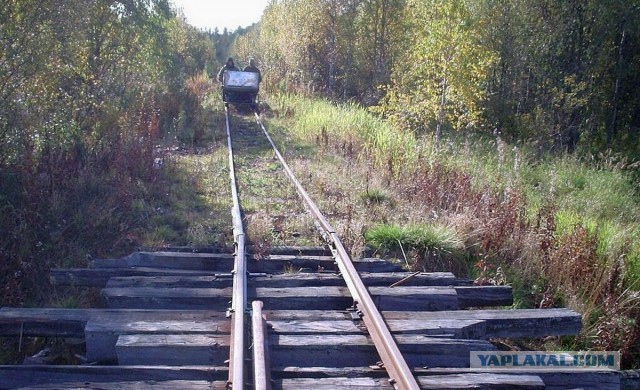 Смотрите, я не лох