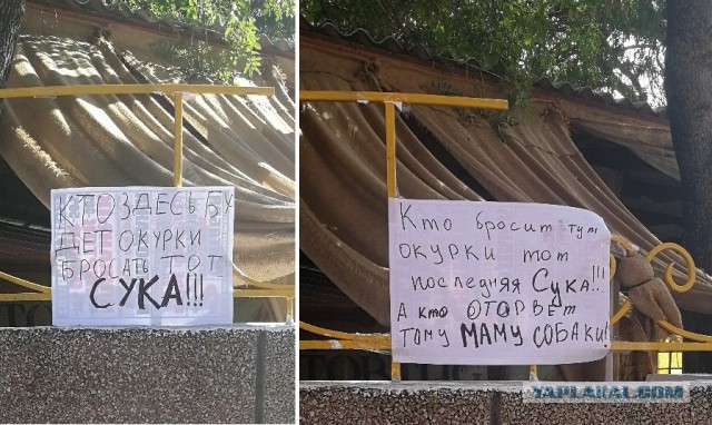 Подборка рекламы, надписей, объявлений и прочего пиару