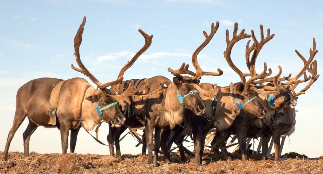 Просто Природа