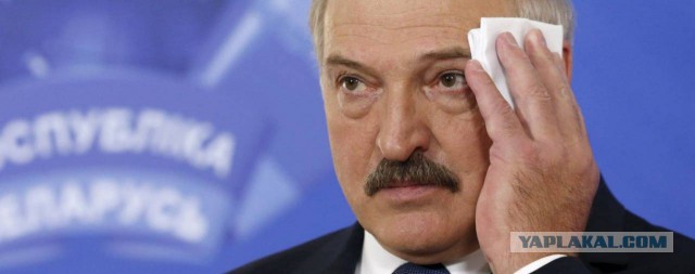 25 находок, из разряда "одна на миллион"