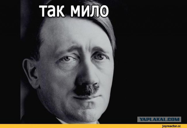 Моя кошка устроила такую ночную кутерьму, что соседу придется на мне жениться