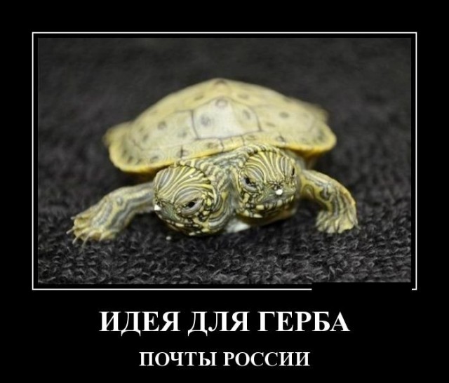От работы оторвись и к картинкам присмотрись!