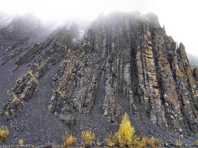 Зеркала