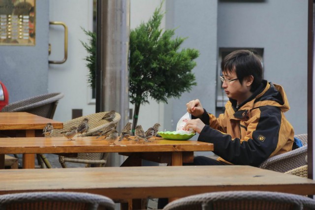 Живность из сети