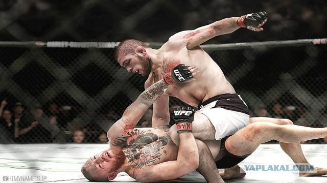 Нурмагомедов vs Макгрегор