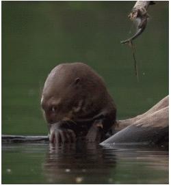 Как же "хочется" работать