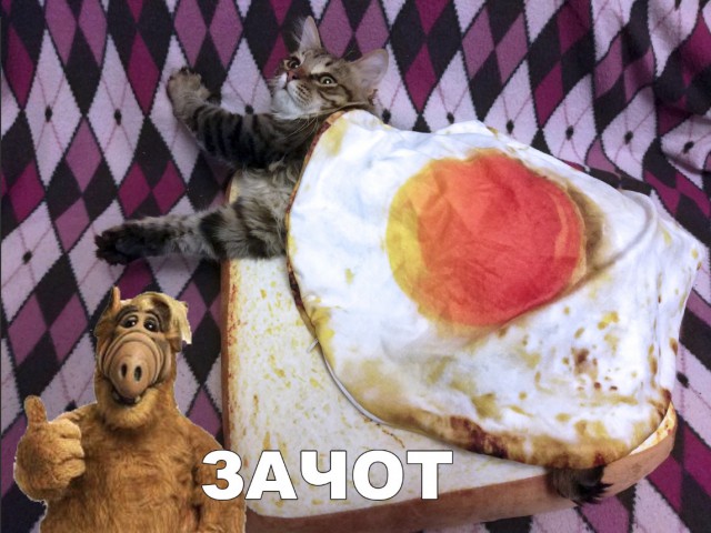 Нестандартный юмор
