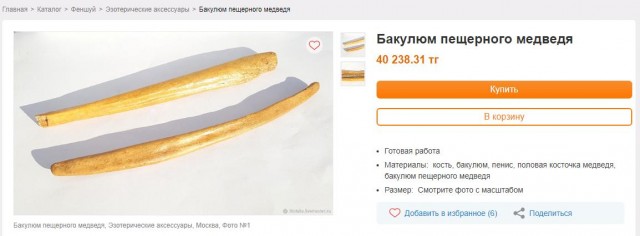 Камчатка, я вернулся, или как мы спали с ружьями