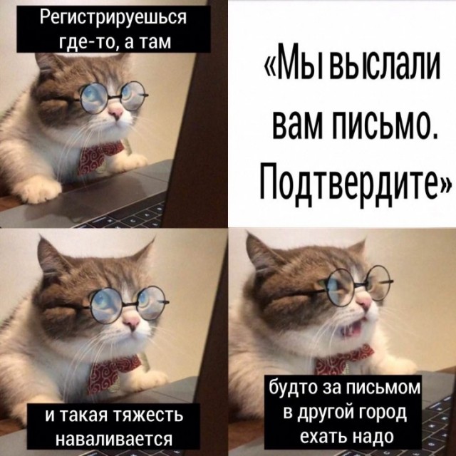 Немного картинок для настроения 28.02.20