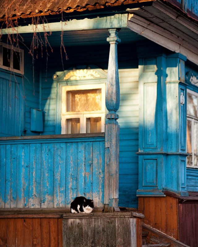 Деревенские котейки