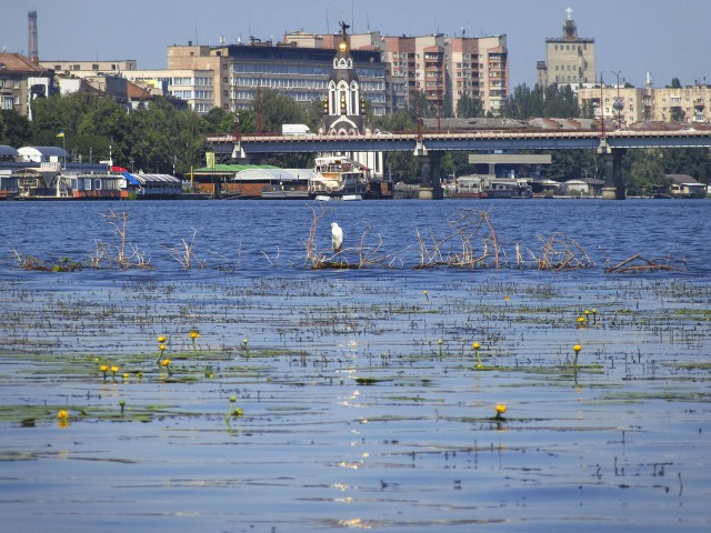 Делимся красивыми фотографиями своего родного города