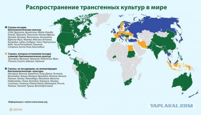 Во Франции под колёсами автомобиля погиб гендиректор компании "Бондюэль"