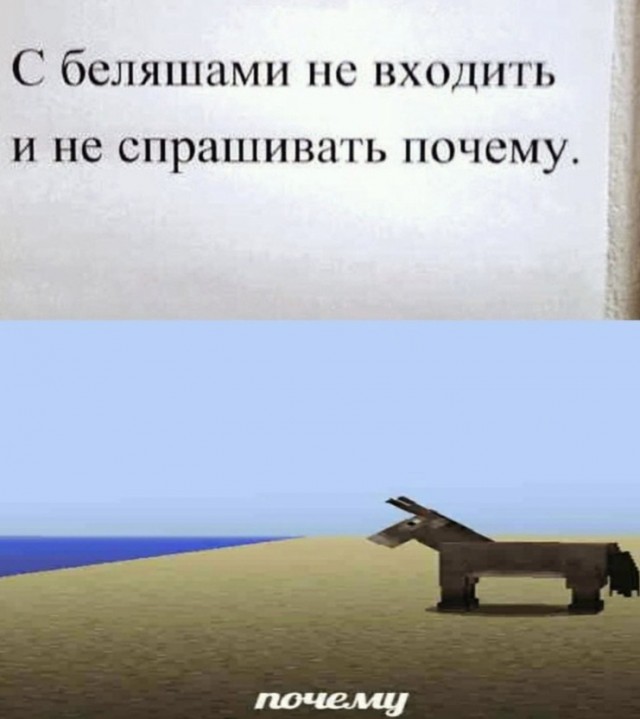 Бредзона 23.09.2020