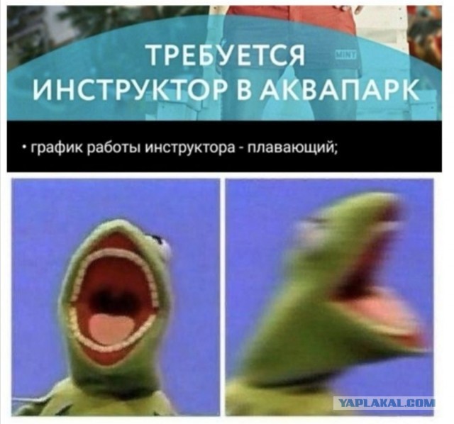 Бредзона 06.11.2020