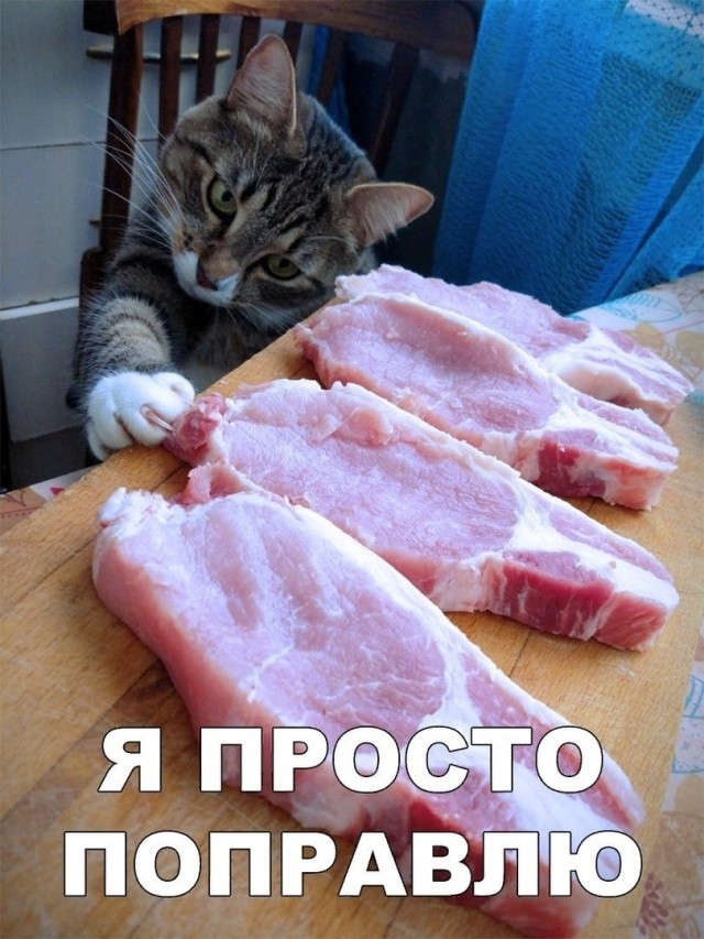 Подборка шерстяных воришек еды