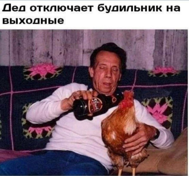Алкопост выходного дня