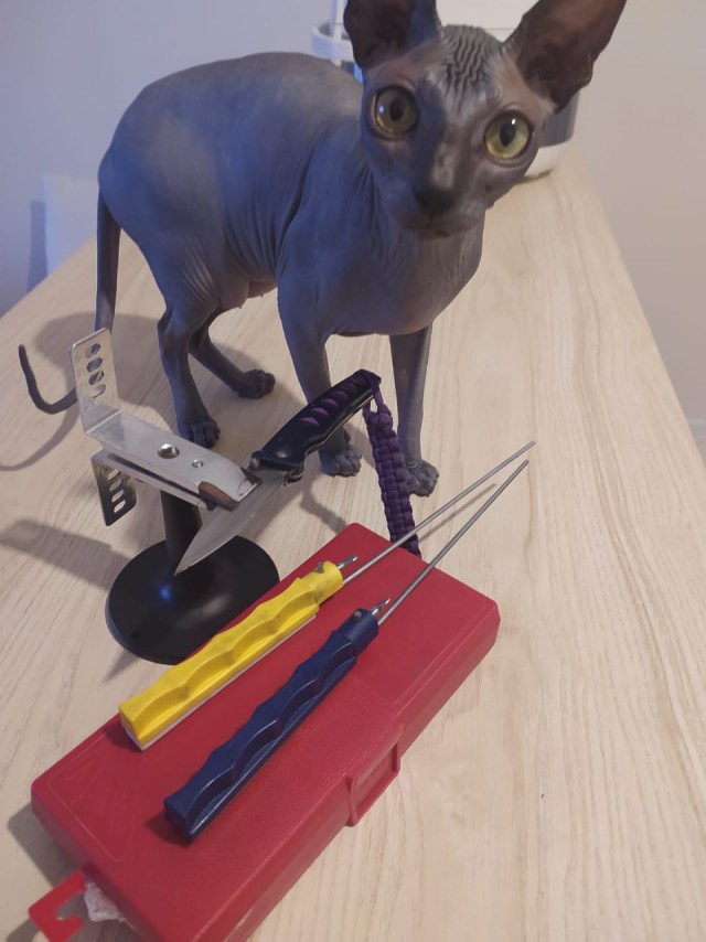 Вторник-кото