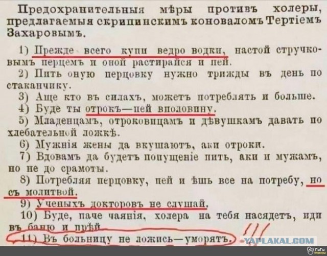 Весёлый полтишок 26.11
