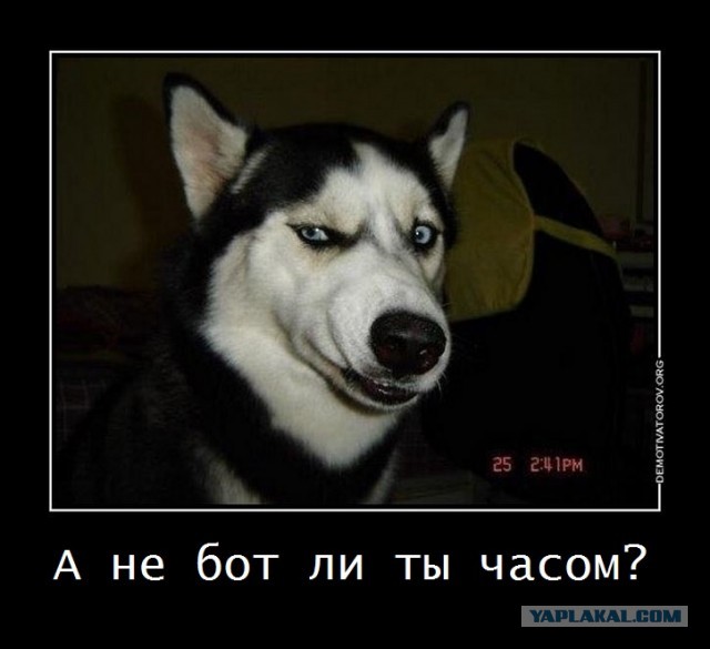 Интернета больше нет